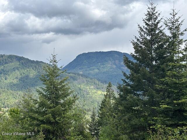 18 Majestic Mountain Rd, Clark Fork, ID 83811