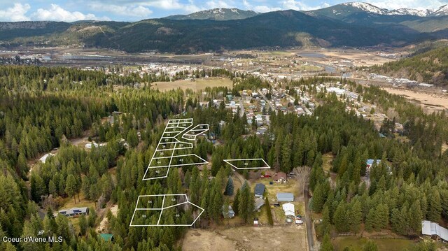 NNA Ragan Dr, Saint Maries, ID 83861