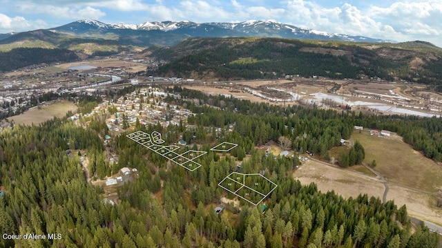 NNA Ragan Dr, Saint Maries, ID 83861
