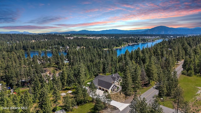 drone / aerial view featuring a view of trees and a water and mountain view