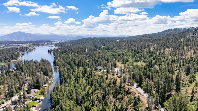 bird's eye view with a view of trees and a water and mountain view