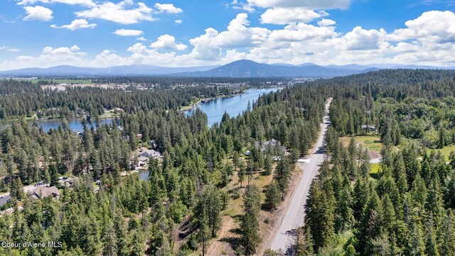 birds eye view of property featuring a view of trees and a water and mountain view