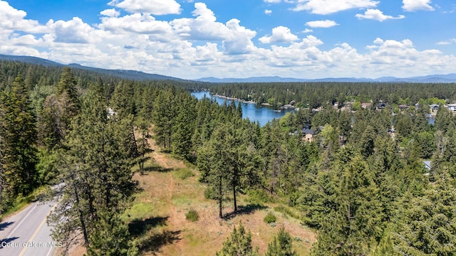 birds eye view of property featuring a wooded view and a water and mountain view