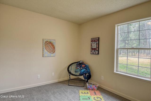 1813 N Spokane St, Post Falls, ID 83854 - playroom with carpet flooring, baseboards, and a textured ceiling