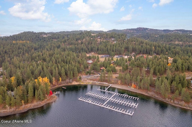 NNA Nna, Harrison, ID 83833