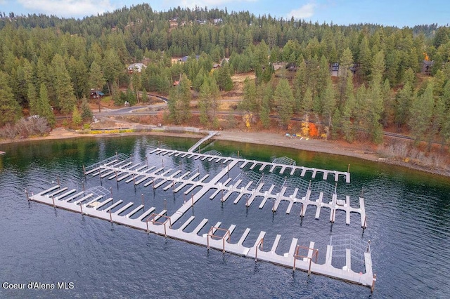 NNA Nna, Harrison, ID 83833