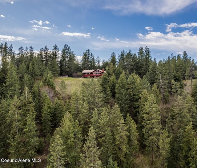 935 French Point Dr, Bonners Ferry, ID 83805 - photo 6