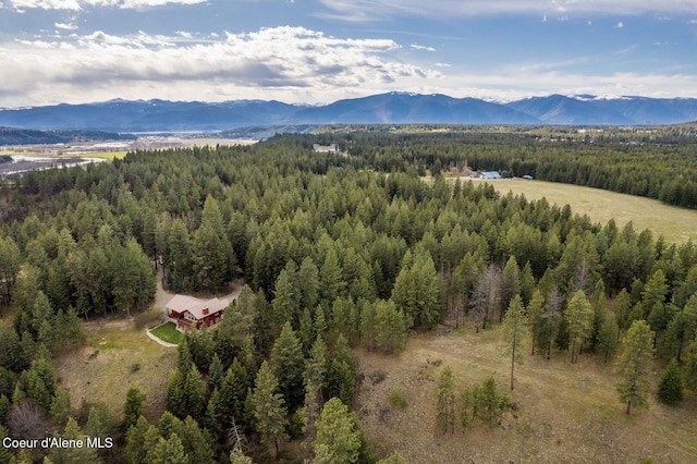 935 French Point Dr, Bonners Ferry, ID 83805 - photo 53