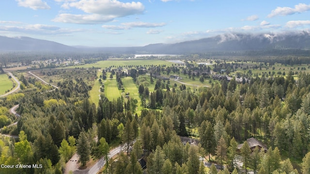 26 Hanaford Rd, Blanchard, ID 83804 - view of mountain backdrop