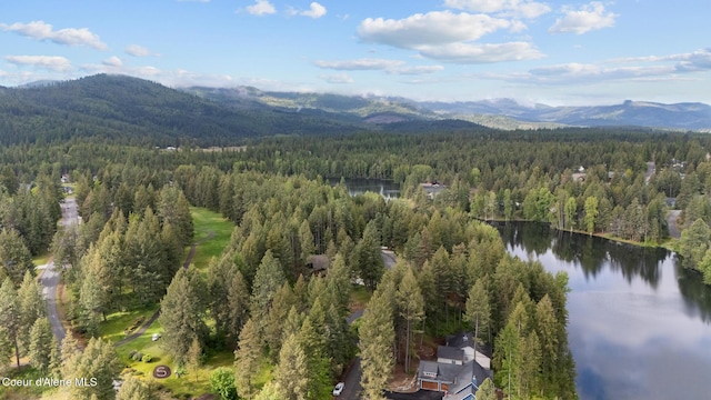 26 Hanaford Rd, Blanchard, ID 83804 - view of property location featuring a forest and a water and mountain view