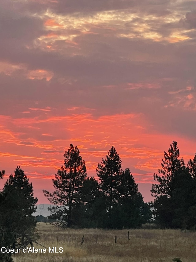 view of nature at dusk