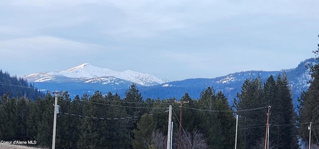 property view of mountains with a wooded view