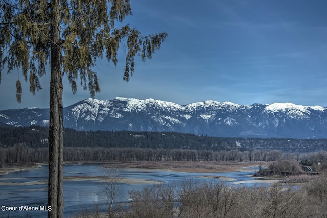 6955 Apple Aly, Bonners Ferry, ID 83805 - photo 2