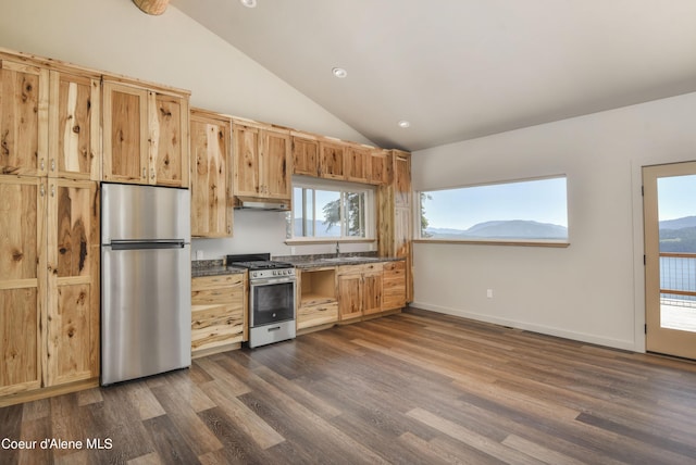 kitchen featuring a sink, dark wood finished floors, lofted ceiling, under cabinet range hood, and appliances with stainless steel finishes