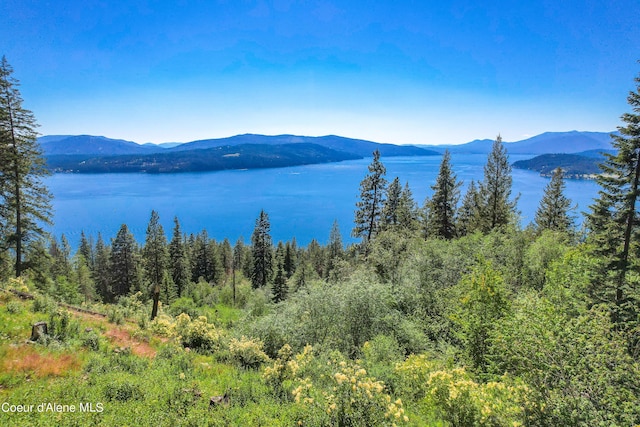 water view with a mountain view