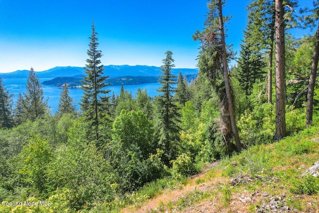 mountain view with a forest view