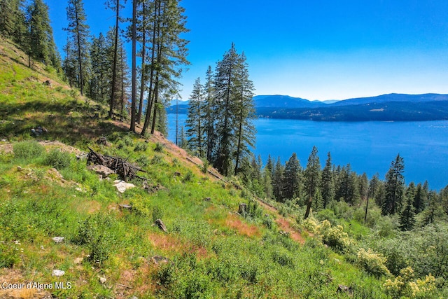 water view with a mountain view