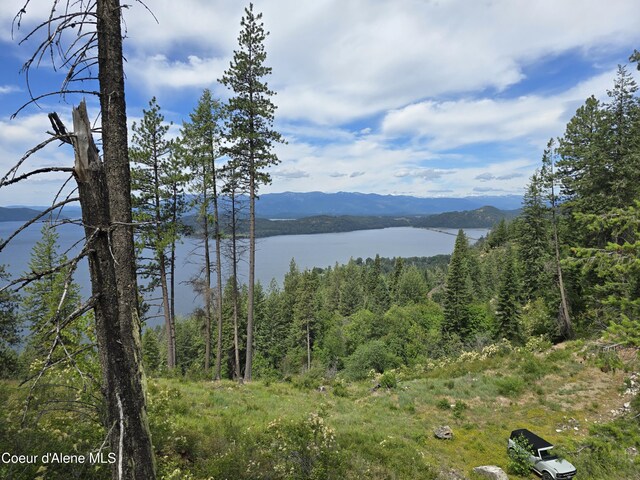 1935 Eagen Mountain Dr, Hope, ID 83836 - photo 39
