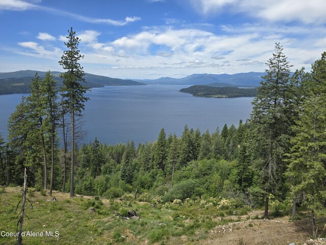 1935 Eagen Mountain Dr, Hope, ID 83836 - photo 41