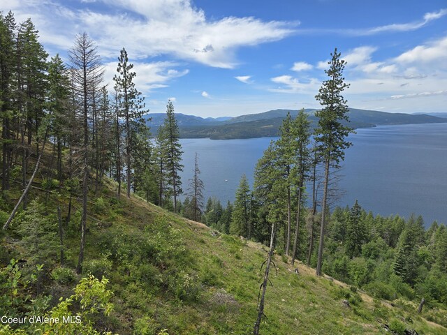 1935 Eagen Mountain Dr, Hope, ID 83836 - photo 42