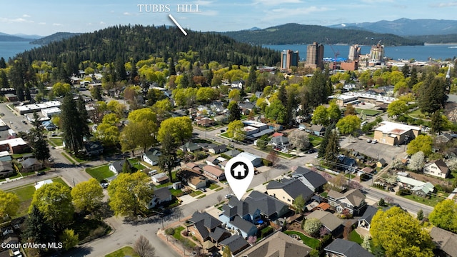 bird's eye view featuring a view of trees and a water and mountain view