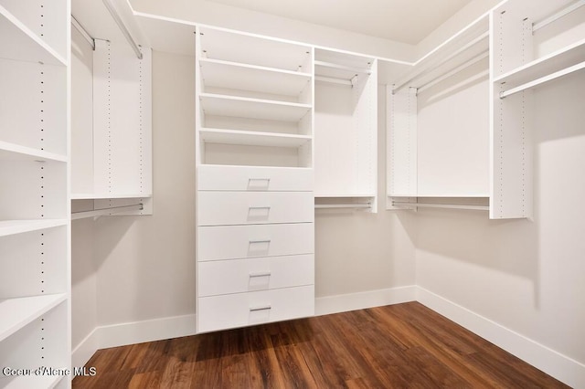 1579 W Riverstone Dr # 306, Coeur Dalene, ID 83814 - spacious closet with wood finished floors