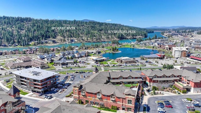 1579 W Riverstone Dr # 306, Coeur Dalene, ID 83814 - bird's eye view with a view of trees and a water and mountain view