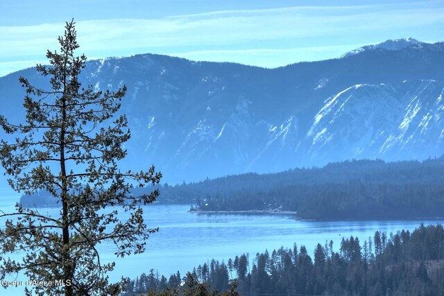 NKAI3 Greatwater Cir, Sandpoint, ID 83864