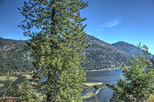 NKAI3 Greatwater Cir, Sandpoint, ID 83864