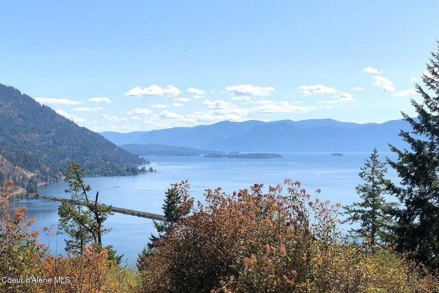 NKAI3 Greatwater Cir, Sandpoint, ID 83864