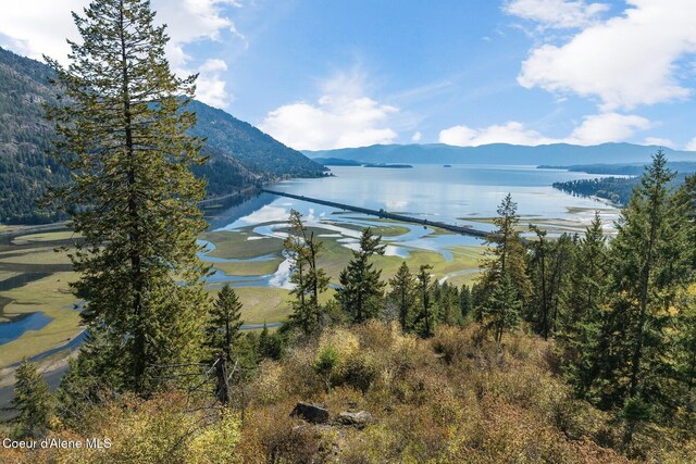 NKAI3 Greatwater Cir, Sandpoint, ID 83864