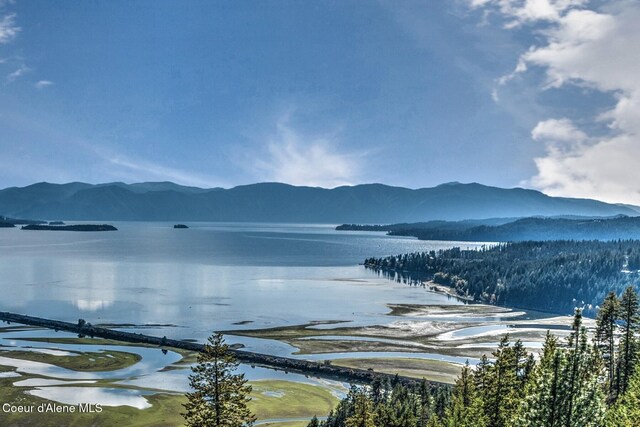 NKAI3 Greatwater Cir, Sandpoint, ID 83864