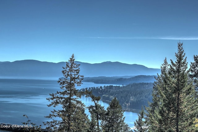 NKAI3 Greatwater Cir, Sandpoint, ID 83864