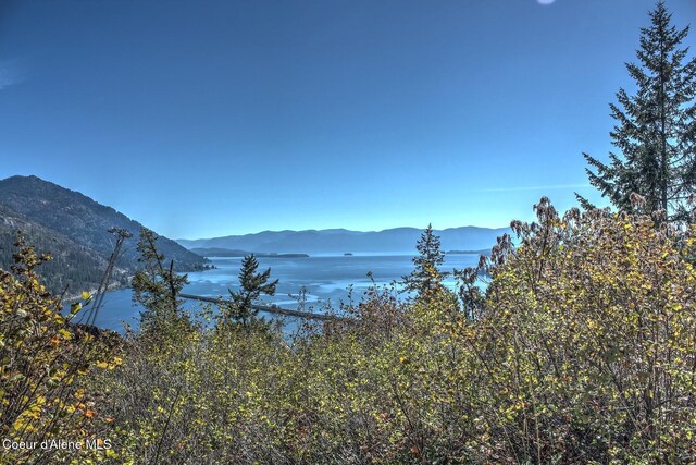 NKAI3 Greatwater Cir, Sandpoint, ID 83864