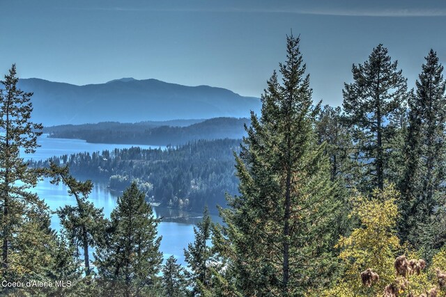 NKAI3 Greatwater Cir, Sandpoint, ID 83864