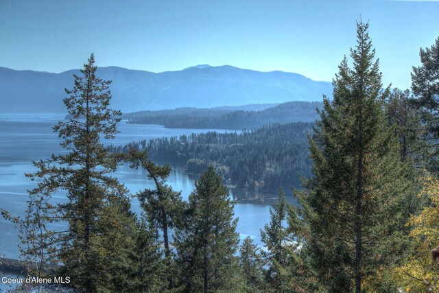 NKAI3 Greatwater Cir, Sandpoint, ID 83864