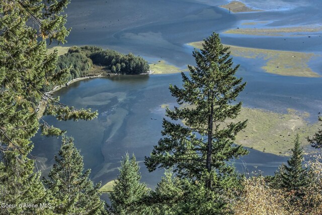 NKAI3 Greatwater Cir, Sandpoint, ID 83864