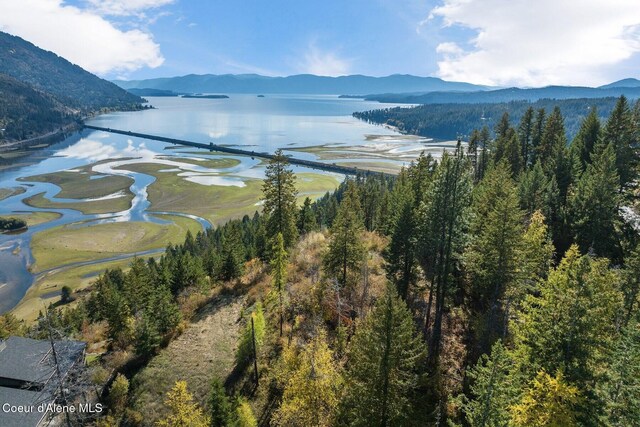 NKAI3 Greatwater Cir, Sandpoint, ID 83864