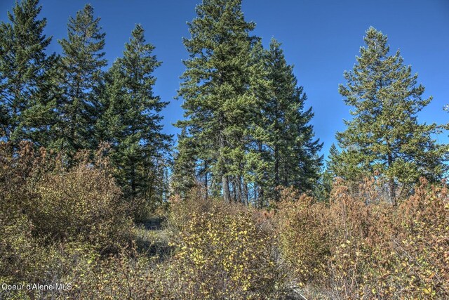 NKAI3 Greatwater Cir, Sandpoint, ID 83864