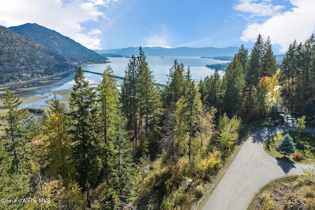 NKAI3 Greatwater Cir, Sandpoint, ID 83864