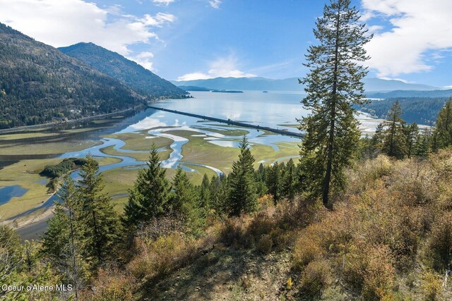 NKAI3 Greatwater Cir, Sandpoint, ID 83864
