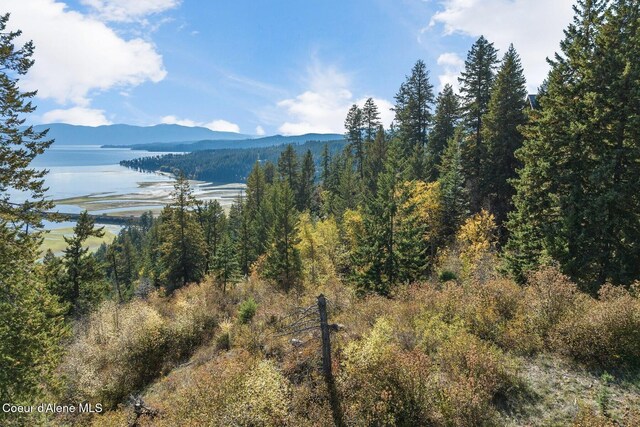NKAI3 Greatwater Cir, Sandpoint, ID 83864
