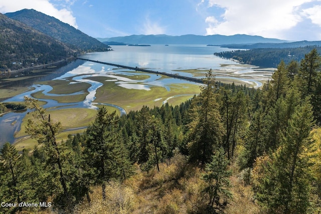 NKAI3 Greatwater Cir, Sandpoint, ID 83864