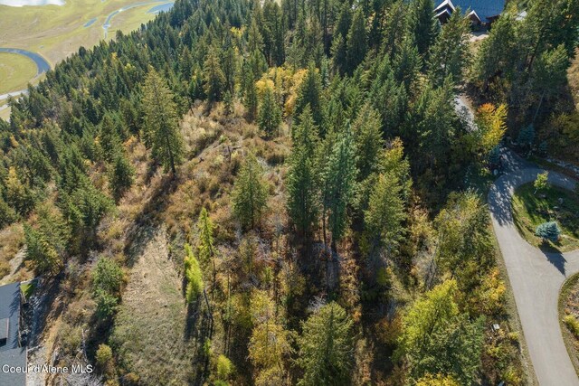 NKAI3 Greatwater Cir, Sandpoint, ID 83864