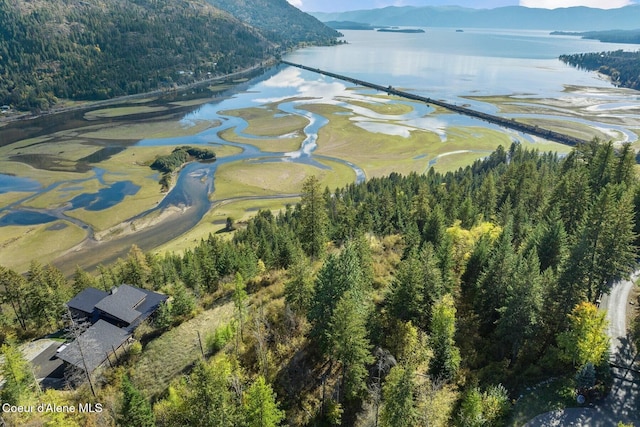 NKAI3 Greatwater Cir, Sandpoint, ID 83864