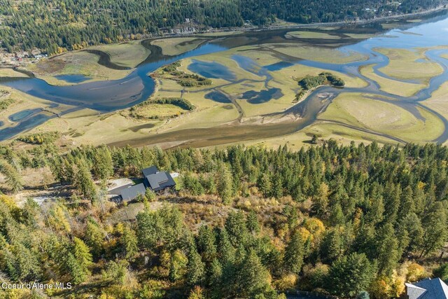 NKAI3 Greatwater Cir, Sandpoint, ID 83864