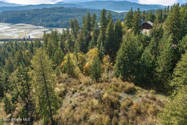 NKAI3 Greatwater Cir, Sandpoint, ID 83864