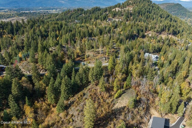 NKAI3 Greatwater Cir, Sandpoint, ID 83864