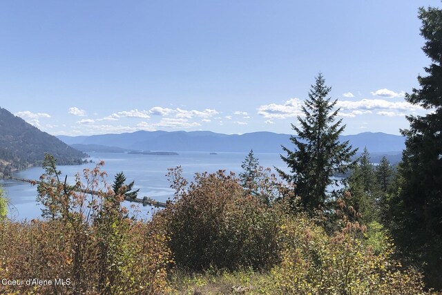 NKAI3 Greatwater Cir, Sandpoint, ID 83864