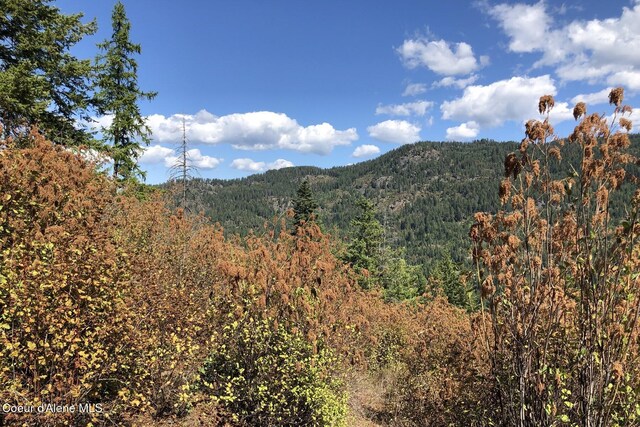 NKAI3 Greatwater Cir, Sandpoint, ID 83864